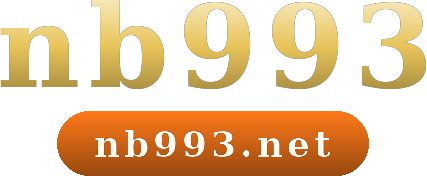 nb993 logo